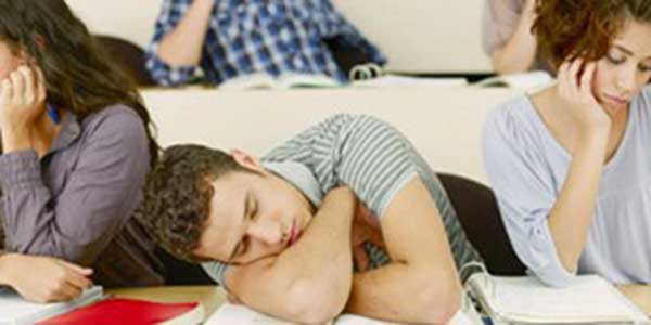 Стереотипы о высшем образовании: верны или нет?